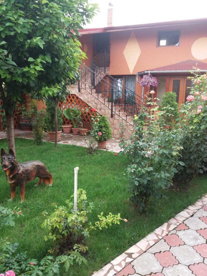 Olimpia Apartments Alba Iulia Exterior photo